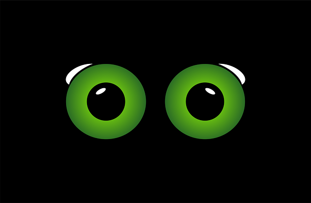 안톤 바빈스키 증후군 이란