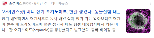 오늘의-주식-종목-추천