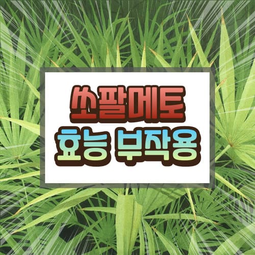 쏘팔메토 효능 부작용