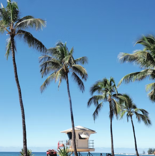 하와이 여행 추천 일정 – 4박5일 렌트카 여행 코스