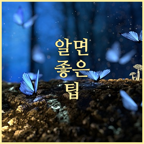 용산 문배동 쓰레기 종류별 배출 요일..