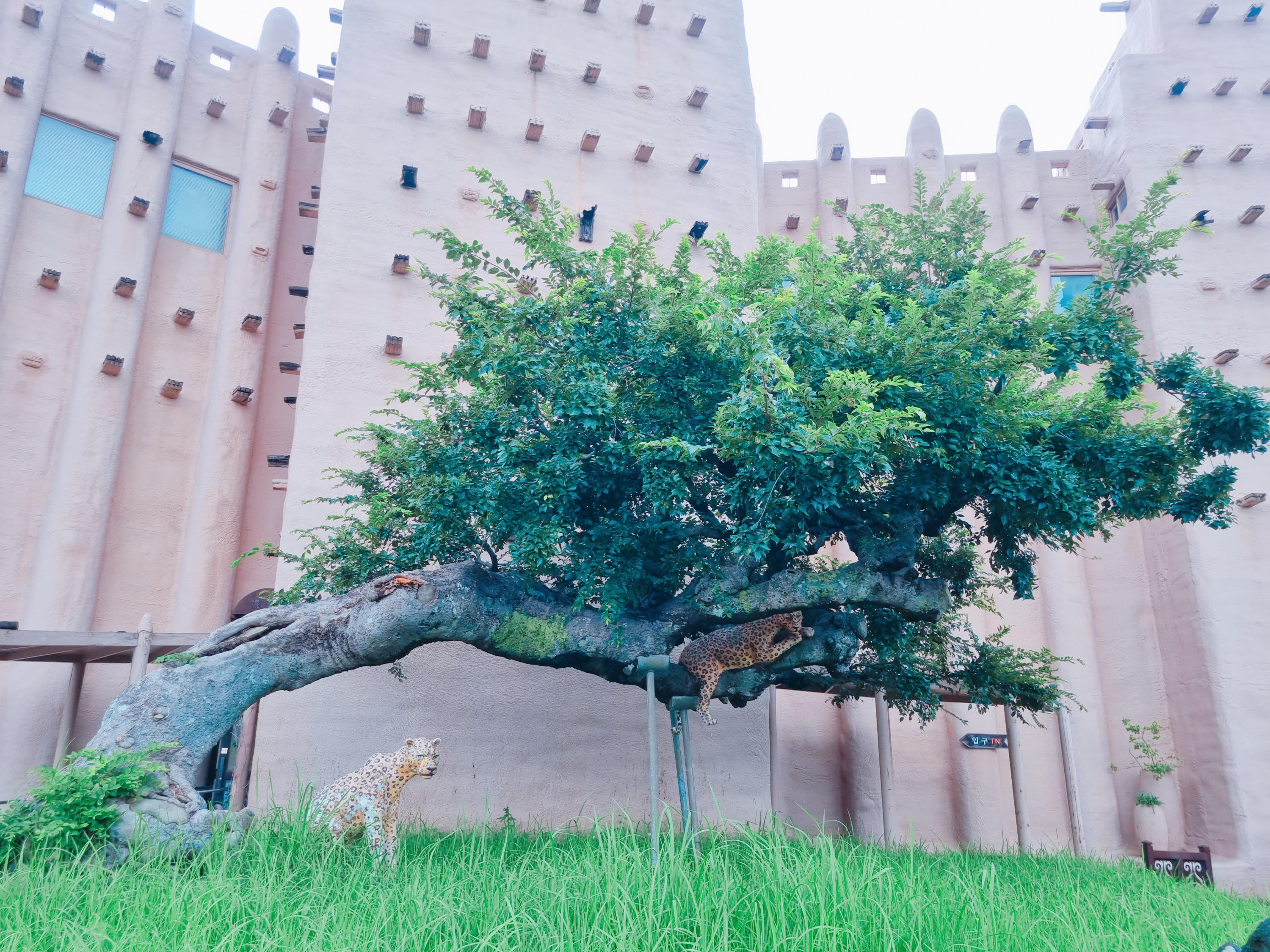 아프리카 박물관