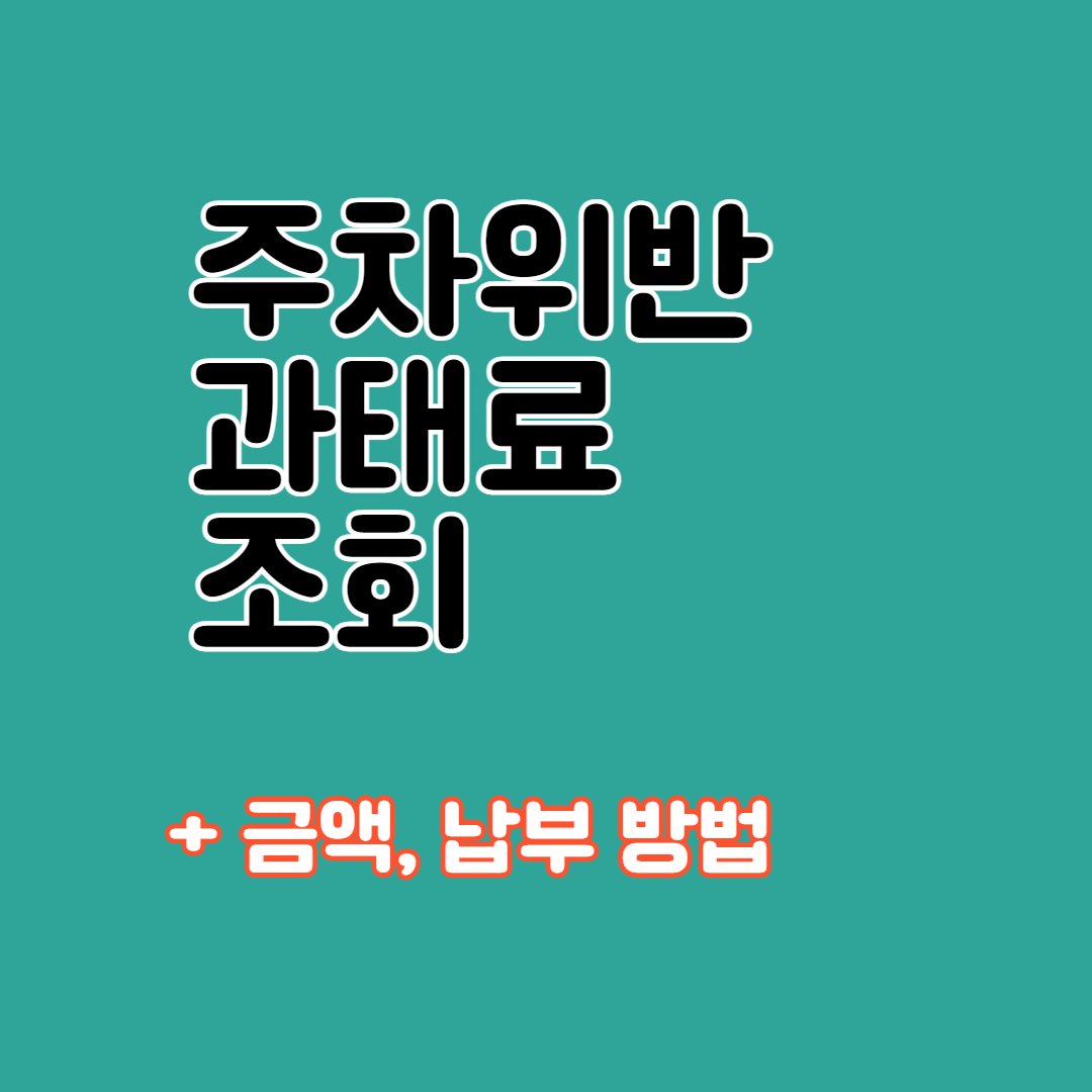 주차위반 과태료 조회