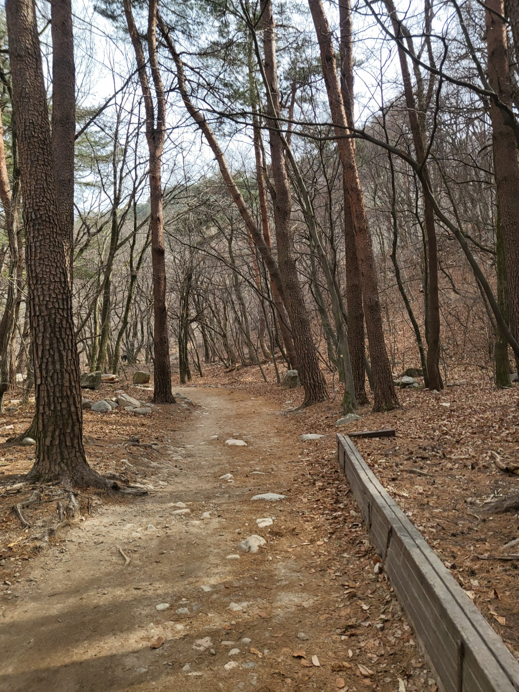 설악산 케이블카 대기 결국 포기! 비룡폭포 대신 선택한 용담폭포와 출렁다리 아이와 함께한 겨울 산행(토요일)