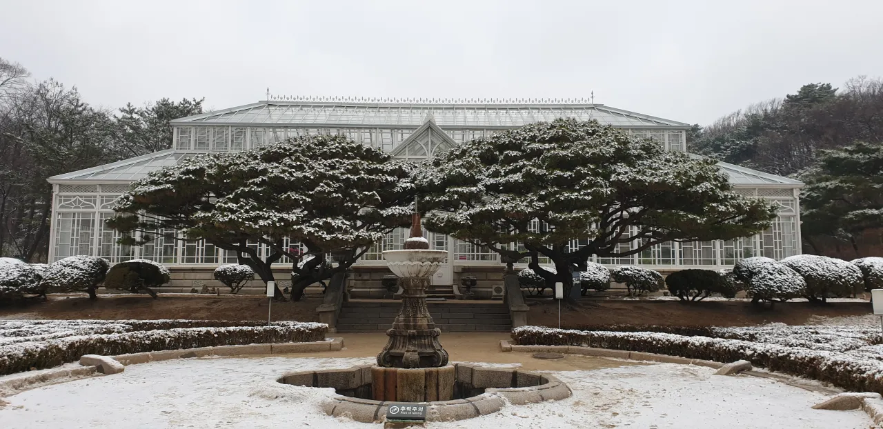 창경궁-대온실-정면-눈내린-나무