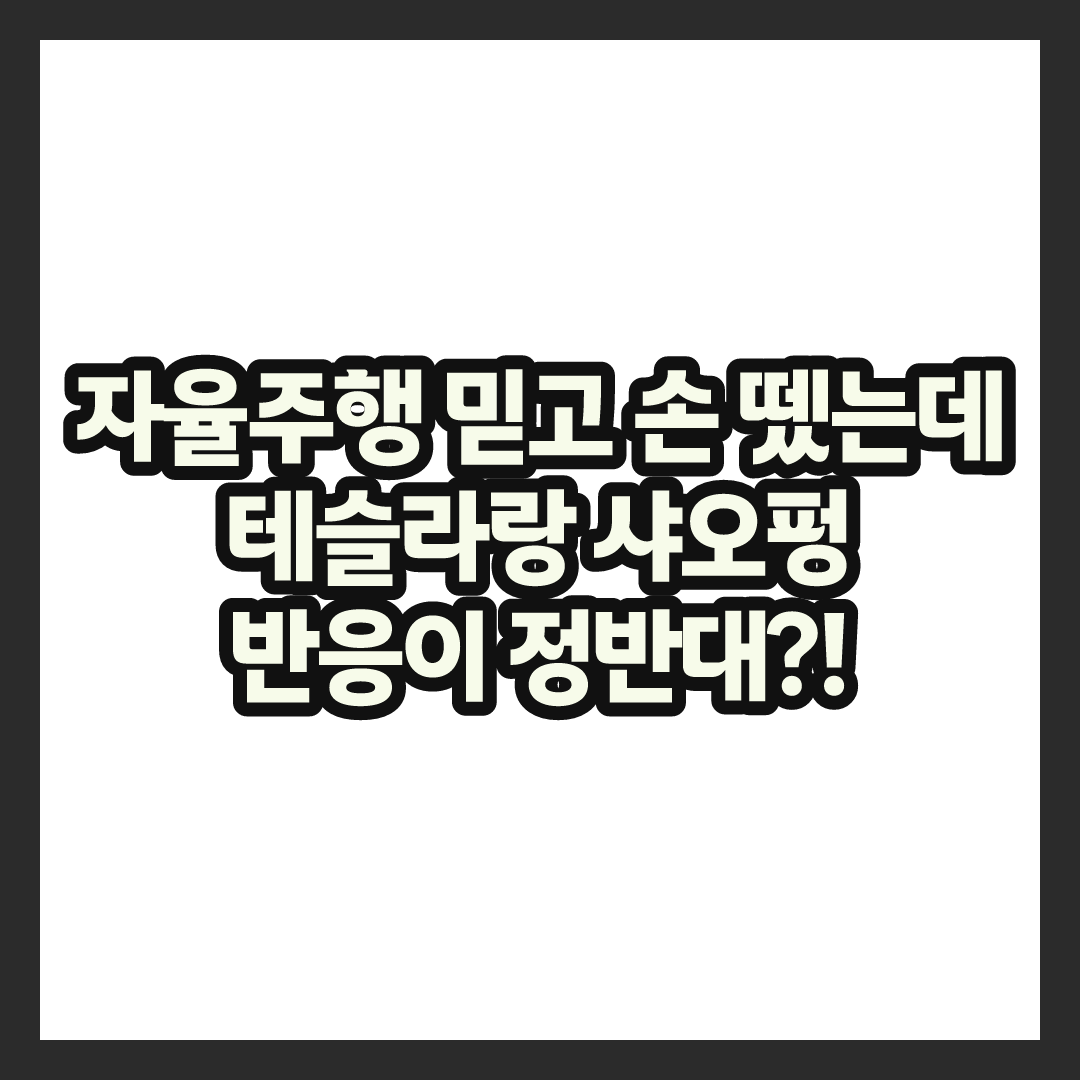 자율주행 믿었는데 테슬라랑 샤오펑 대처가 이렇게 다르다는데