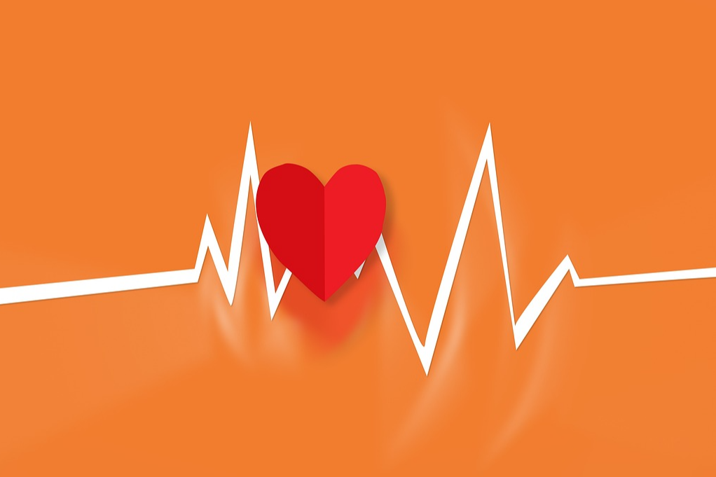 심장 박동의 불규칙성과 카오스 이론