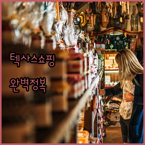 텍사스 그랜드 프레리 프리미엄 아울렛..