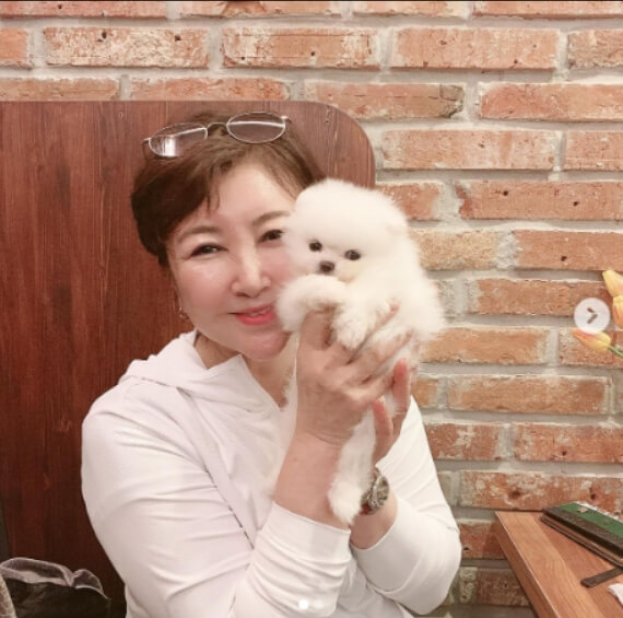 계은숙 프로필 나이 한일톱텐쇼 출연 일본진출 참새의눈물 가사