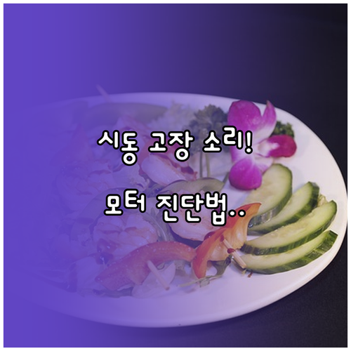 시동 불량 소리만 듣고 모터 고장 유..