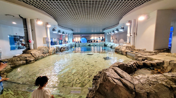 광교 아쿠아플라넷 다녀온 후기 사진 15