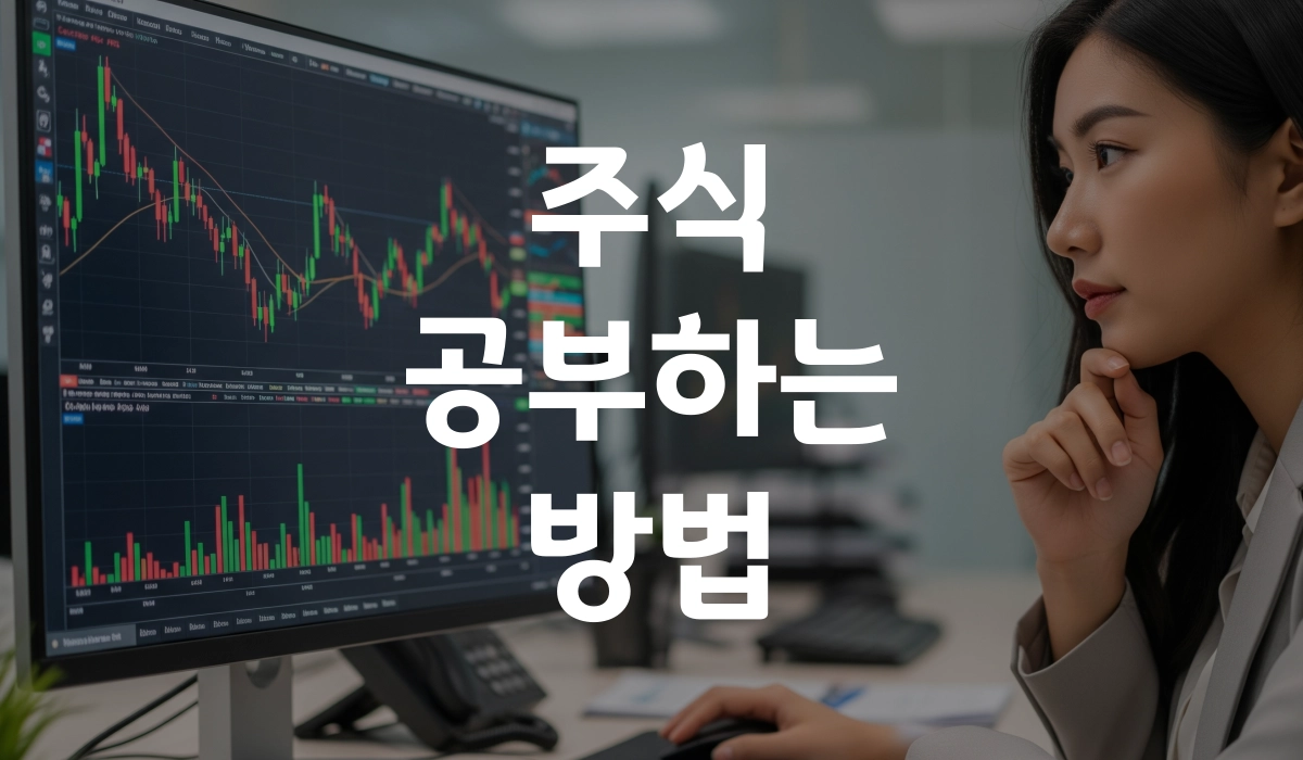 주식 공부하는 방법 왕초보 공부방법 총정리! 포스팅 섬네일