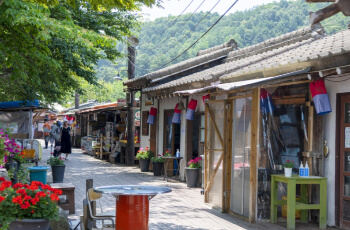 허브아일랜드 라벤더 축제 향기존_2