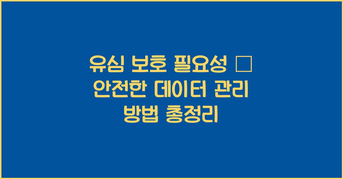유심 보호 필요성
