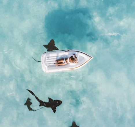 국내여행 호텔 예약 앱 추천, 여행 준비 끝판왕 모음