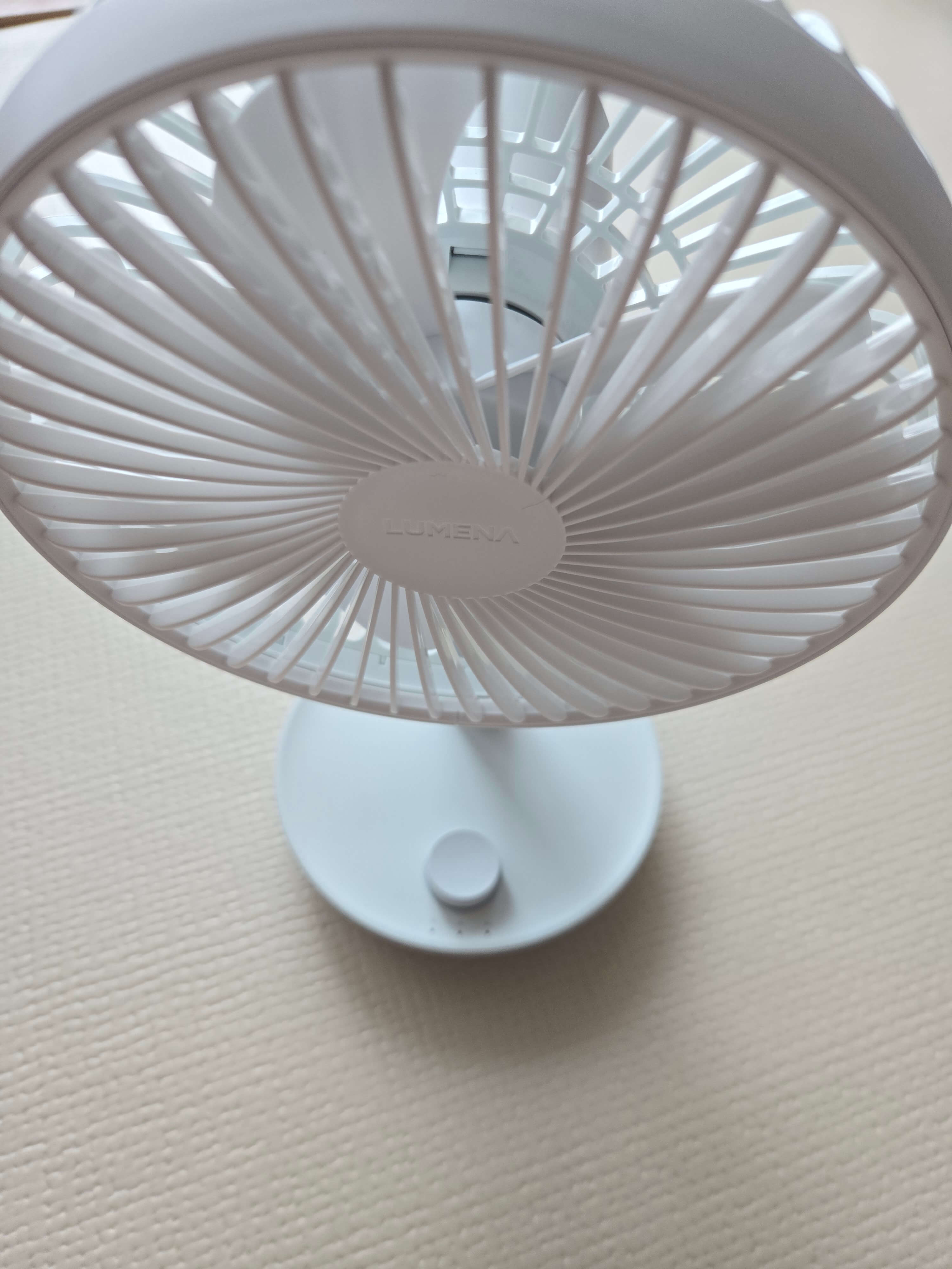 올 여름 모기 퇴치 및 예방