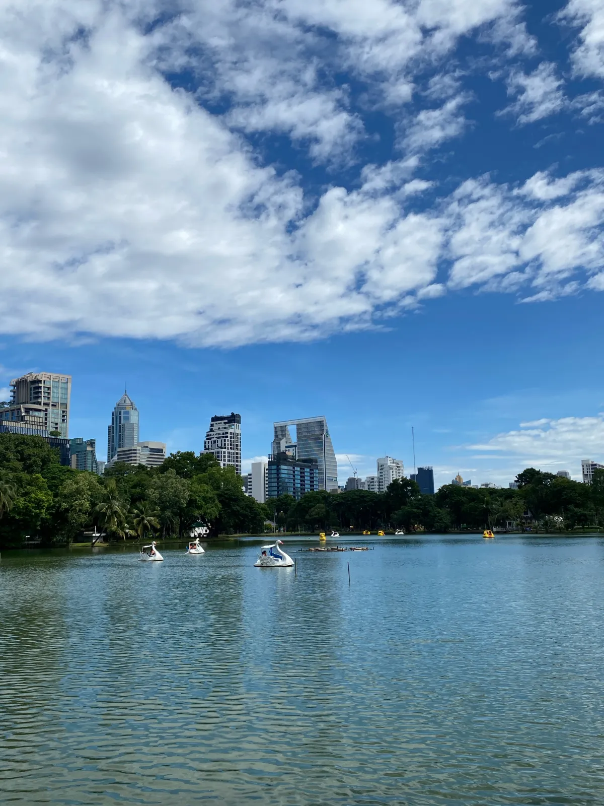태국-방콕여행-물왕도마뱀-보며-산책하기-좋은-룸피니공원