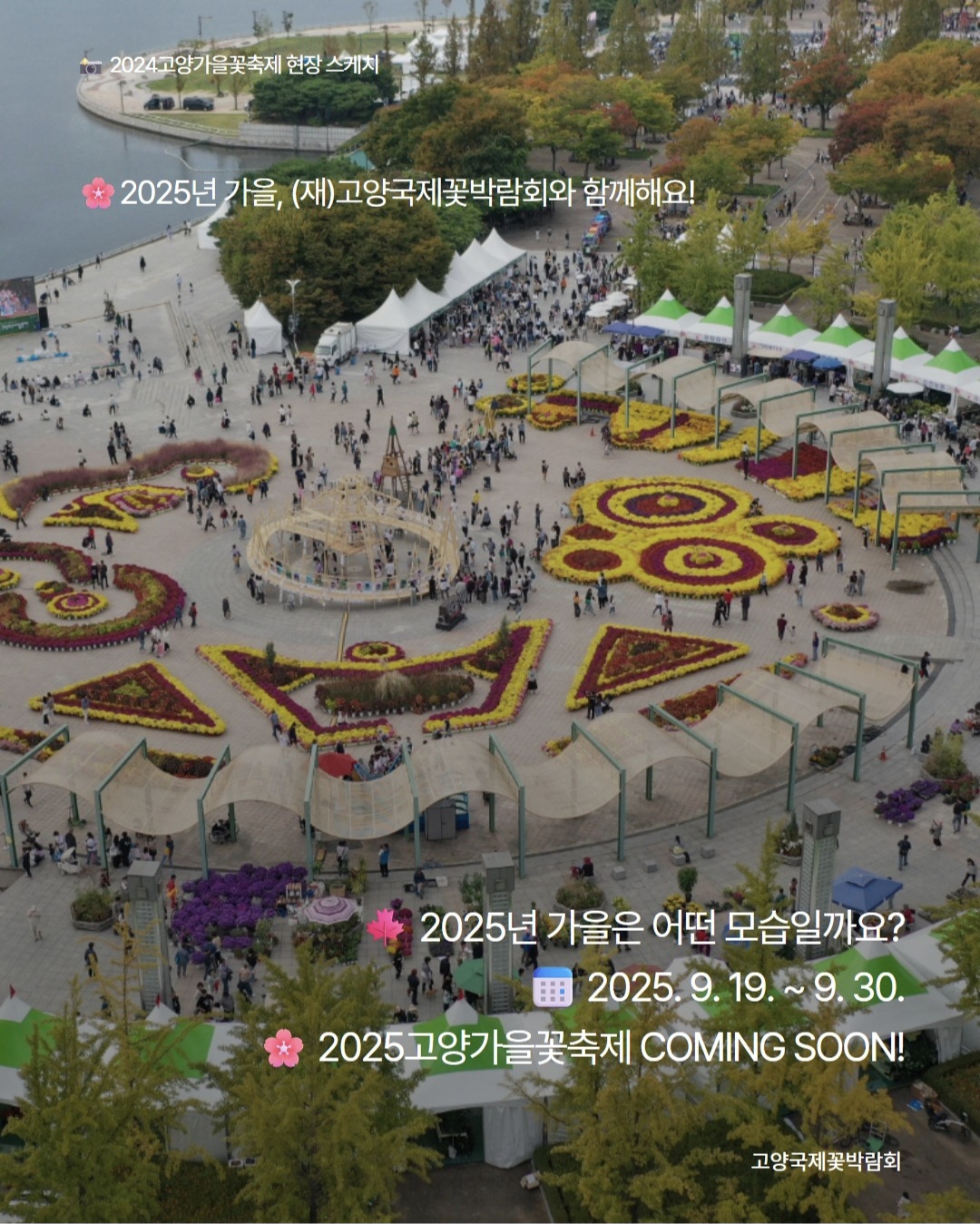 2025 고양가을꽃축제 완전 가이드 (출처: 고양가을꽃축제 공식 인스타그램)
