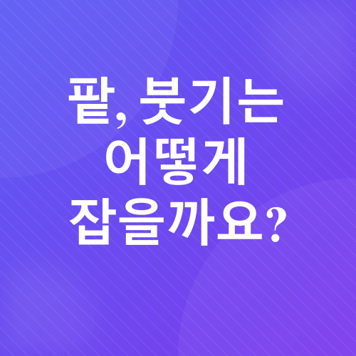 팥의 효능_1