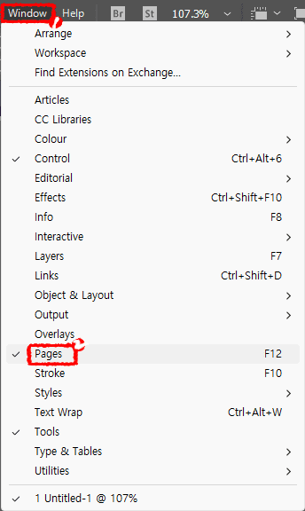 indesign-window-pages-panel-open