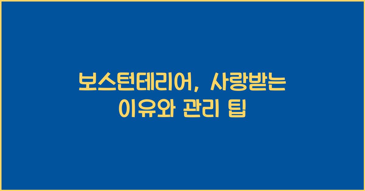 보스턴테리어