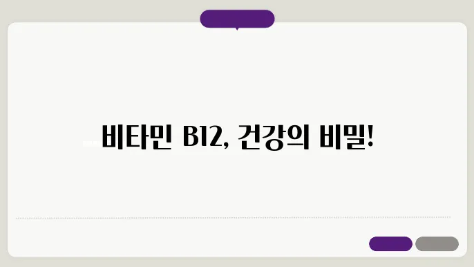 비타민b12가 많은 음식