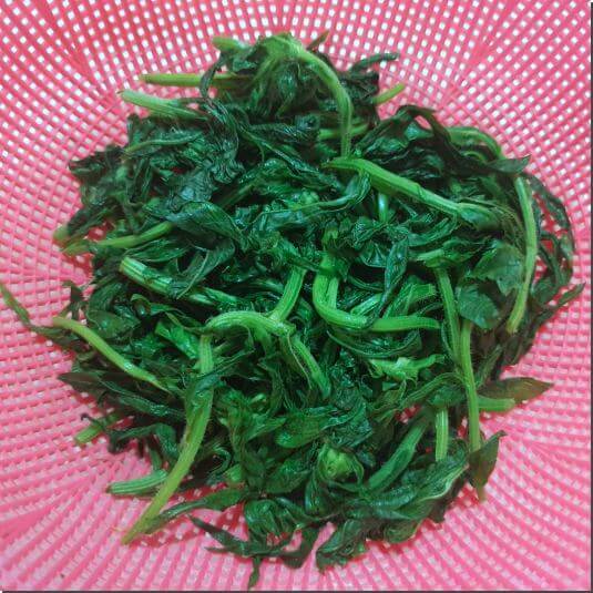 망초대 나물 먹는 법