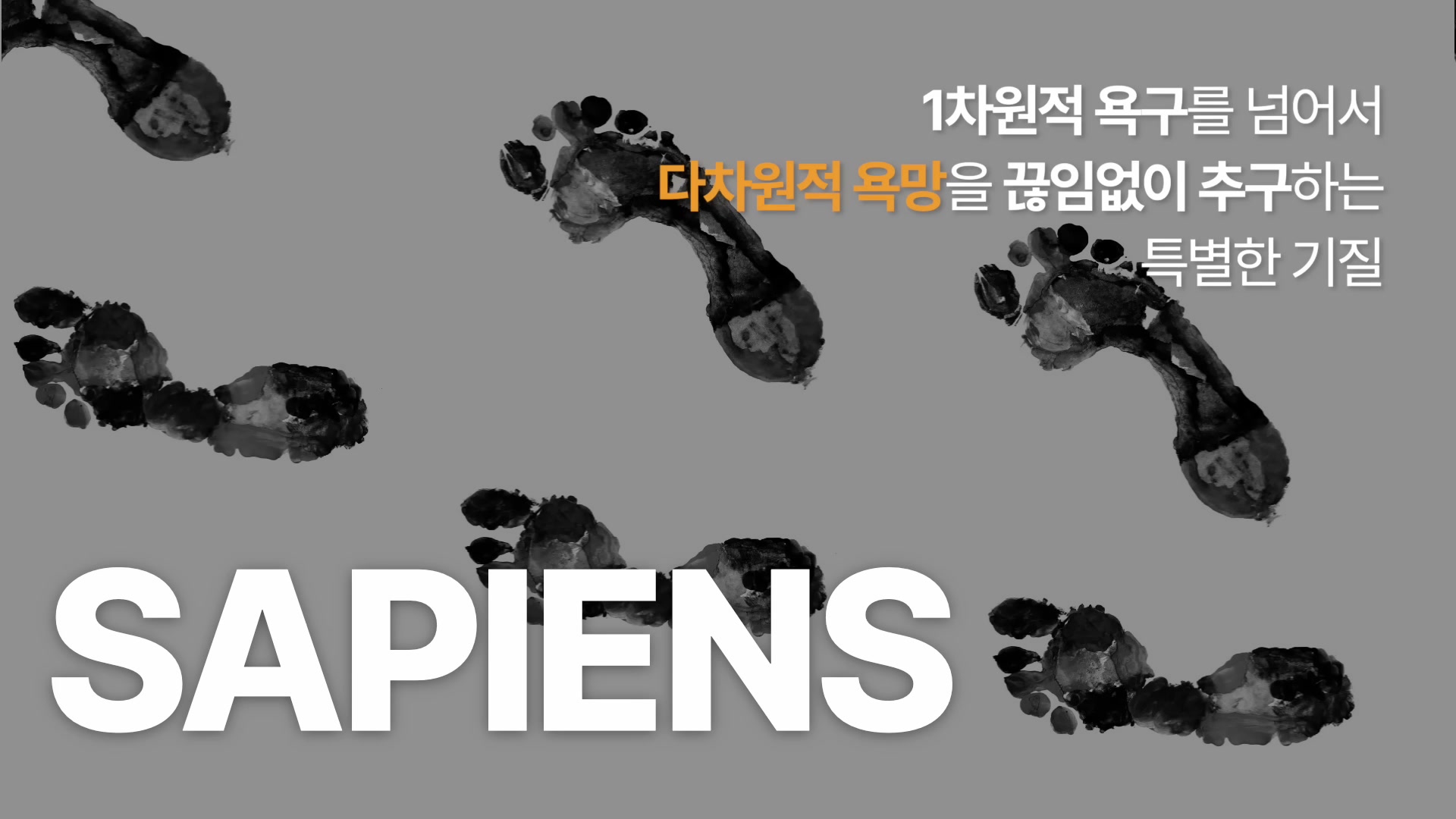 SAPIENS