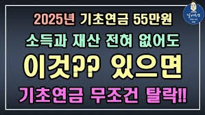 노령연금 수급자격 재산