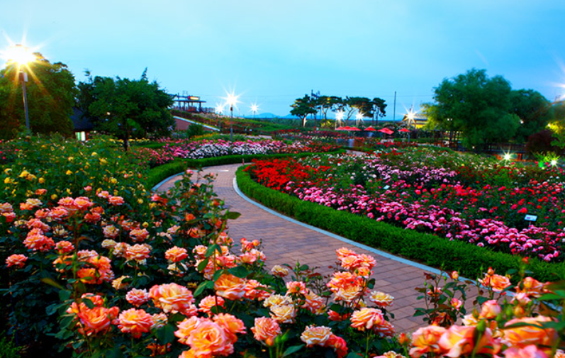 곡성세계장미축제