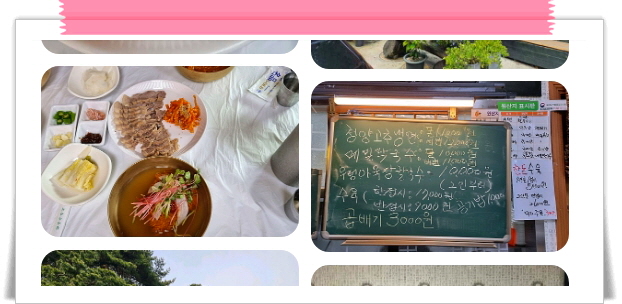매일아침 위대한식재료 고추냉면 후기
