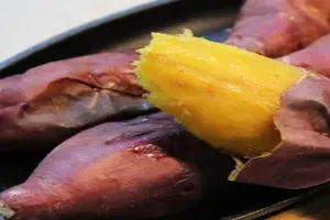 고구마