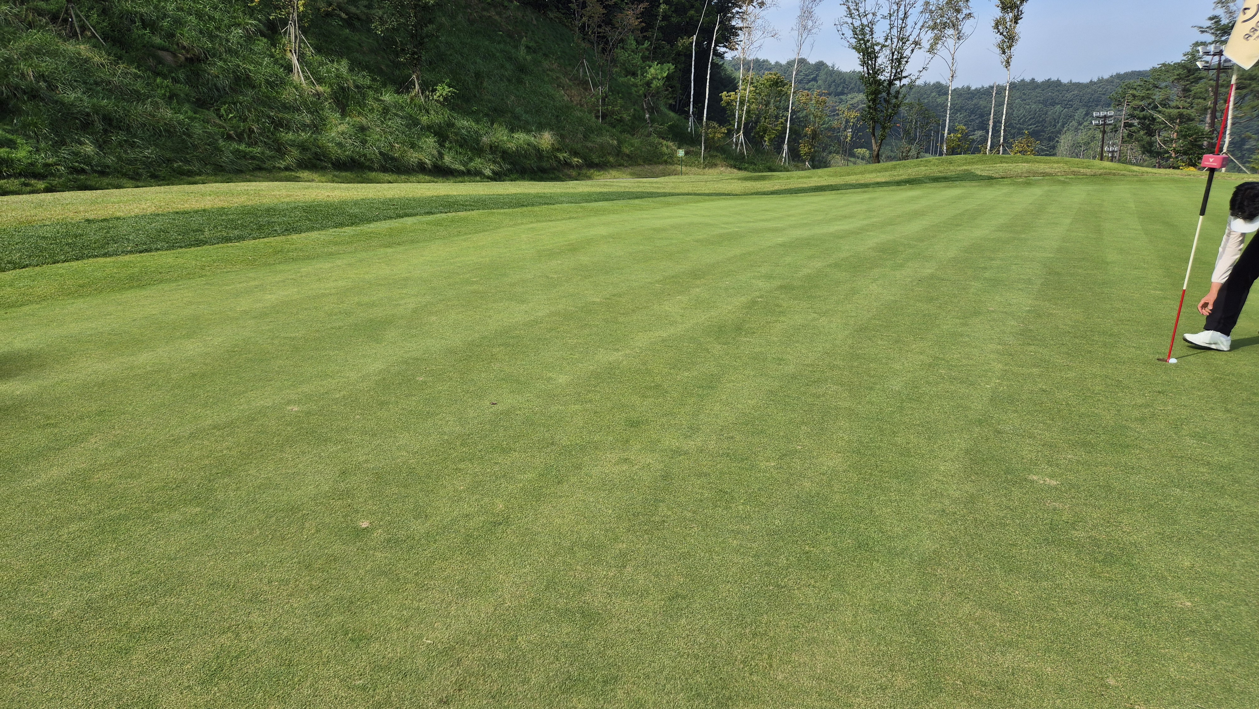 오로라cc 그린 관리 상태