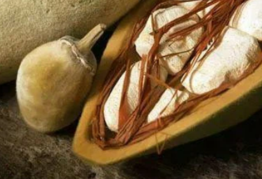 바오밥 나무 씨앗을 자른 모습