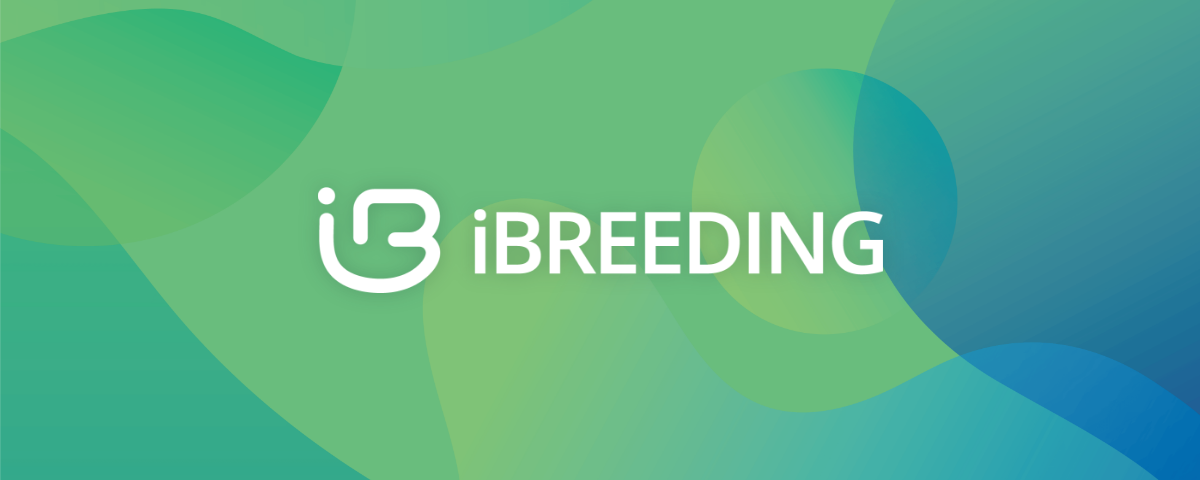 아이브리딩 로고