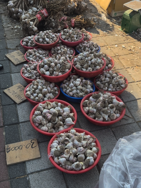 마늘 소쿠리