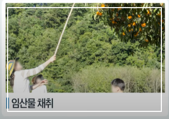 쯔쯔가무시 초기증상 치료방법 