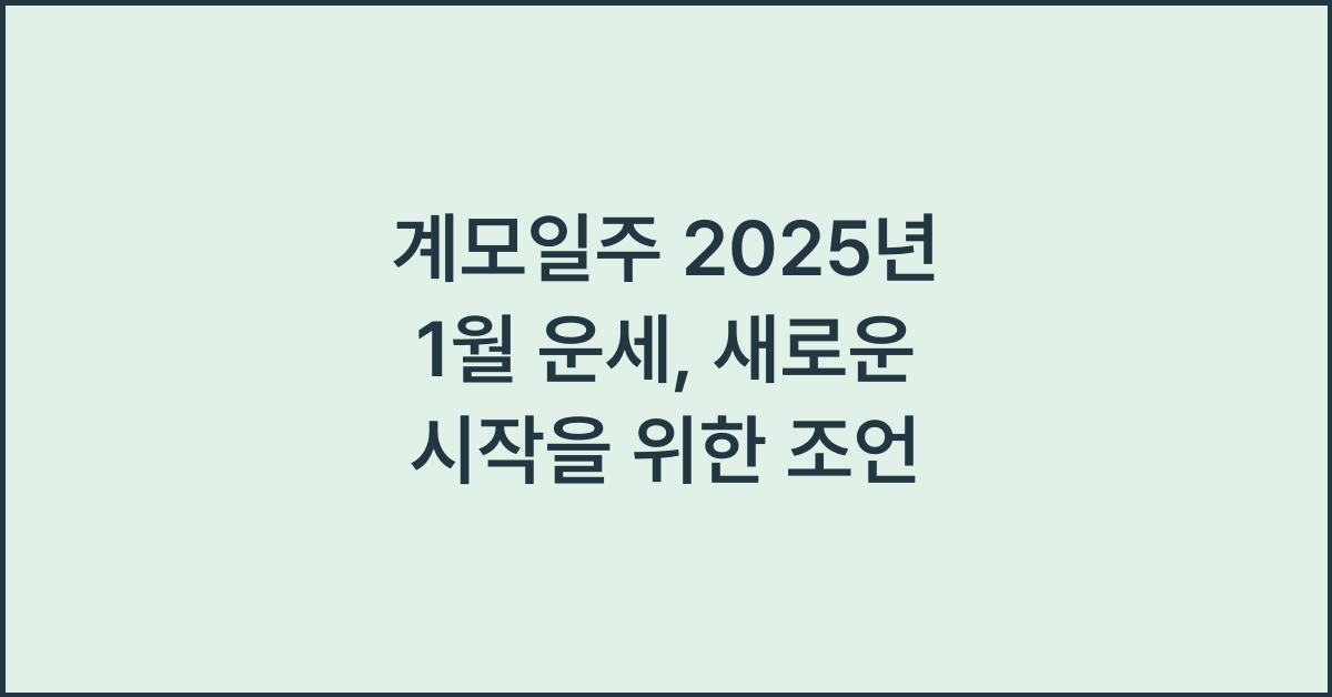 계모일주 2025년 1월 운세