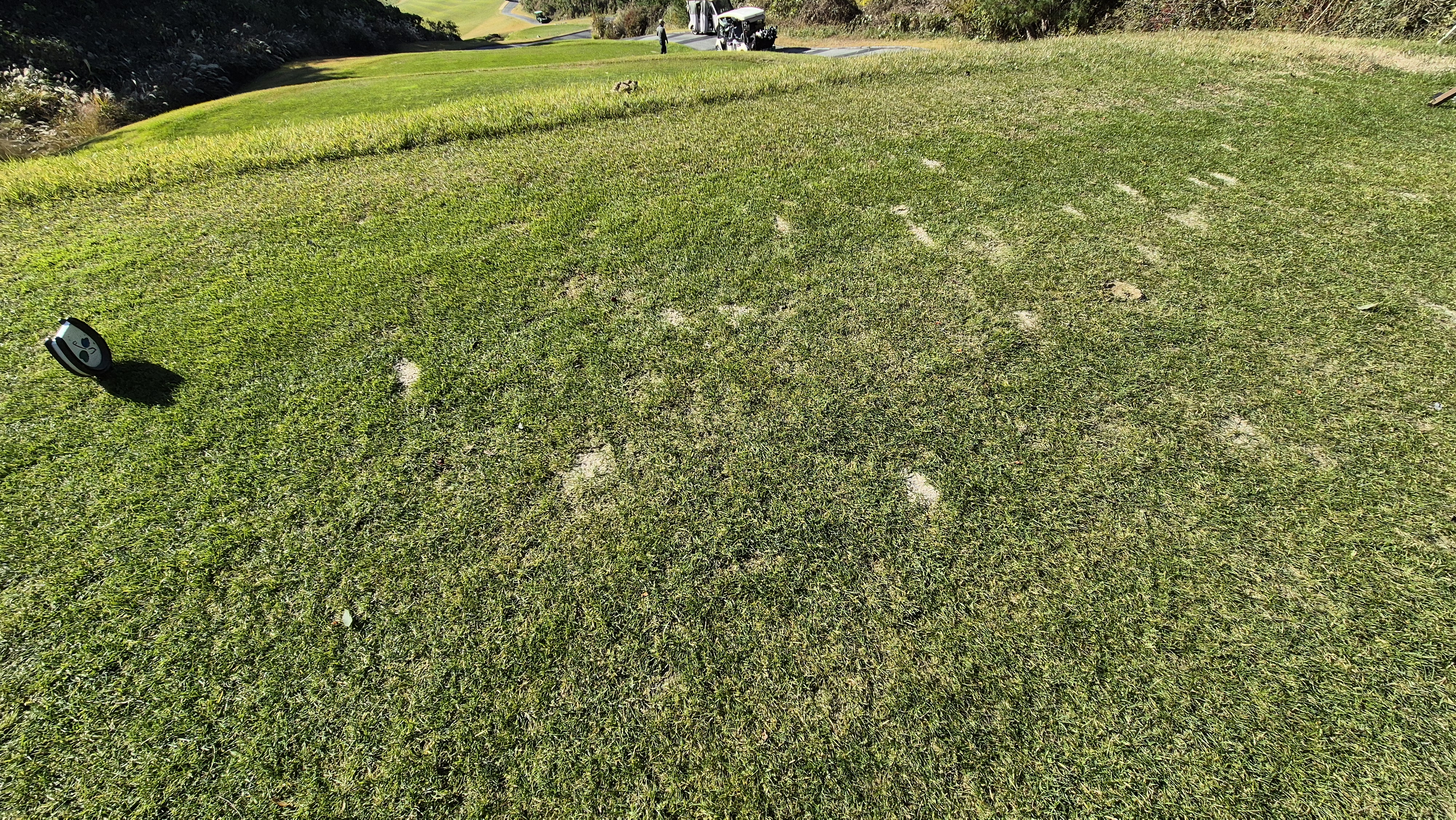 동촌gc 티잉구역 상태