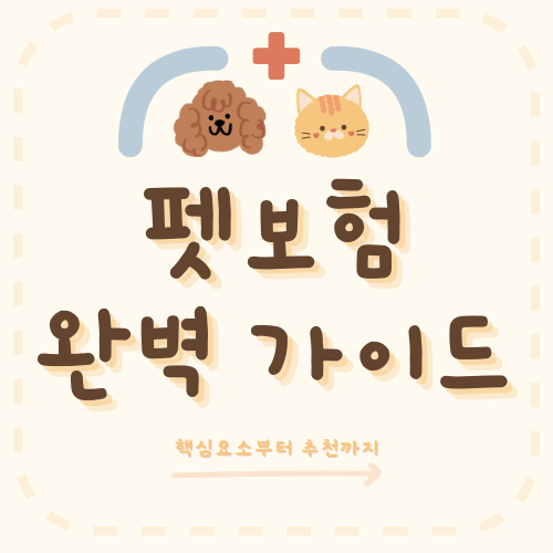 펫보험 비교, 내 반려동물에게 꼭 맞는 보험은?