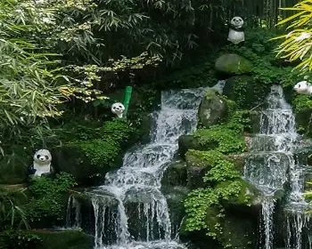 담양 대나무축제_26