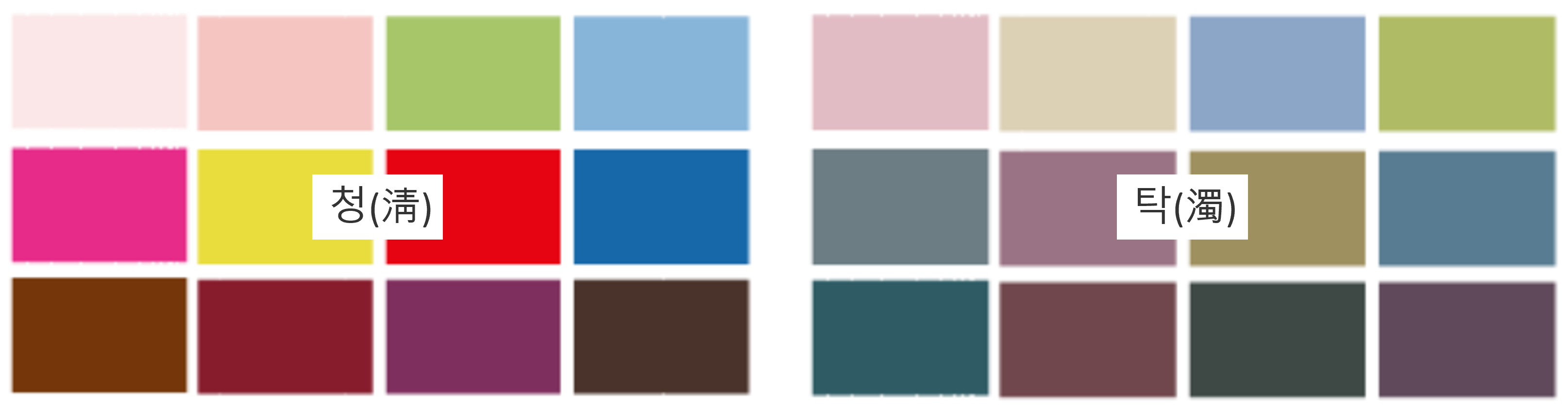 퍼스널컬러 관련 사진