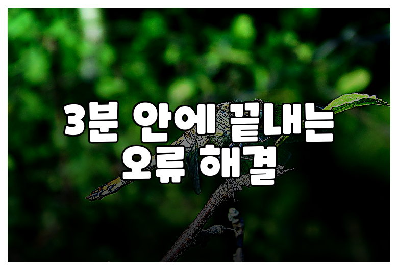 3분 안에 끝내는 오류 해결