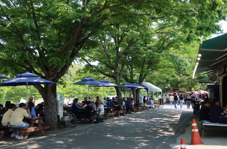 [6시 내고향] 담양 국수거리&amp;#44; 멸치 비빔국수가게&amp;#44; 죽순국수가게 정보