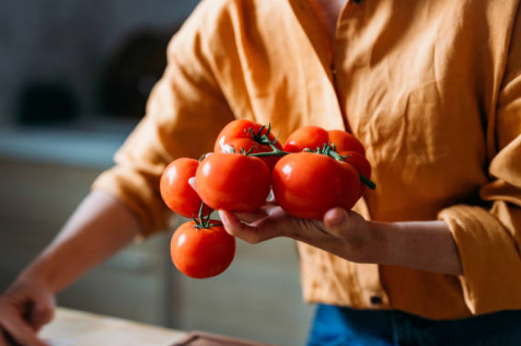 토마토 효능&amp;#44; 보관방법&amp;#44; 부작용 총정리 (2024ver)