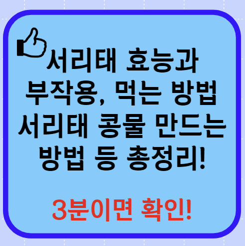 서리태 효능과 부작용 서리태 콩물 만드는 방법 총정리(24년 Ver)