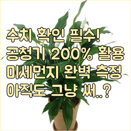 실내 미세먼지 수치 정확하게 측정하는..