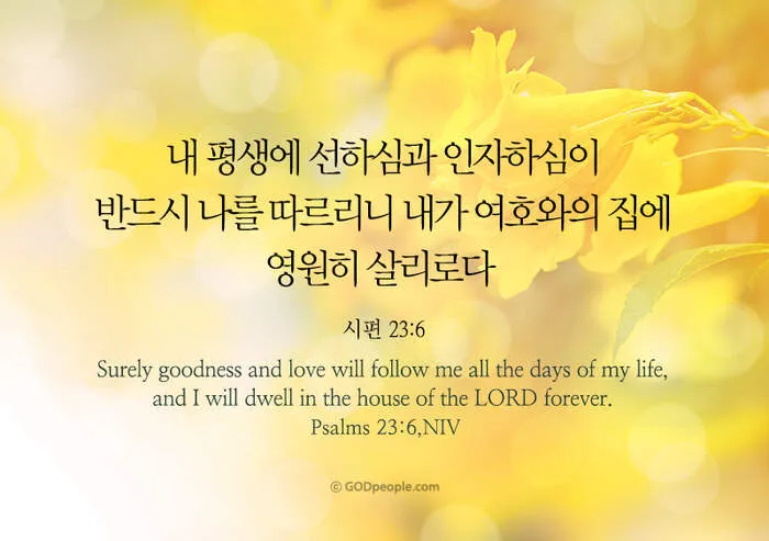 시편 62장 1절 읽기 - 나의 영혼이 잠잠히 하나님만 바람이여 나의 구원이 그에게서 나오는도다_8