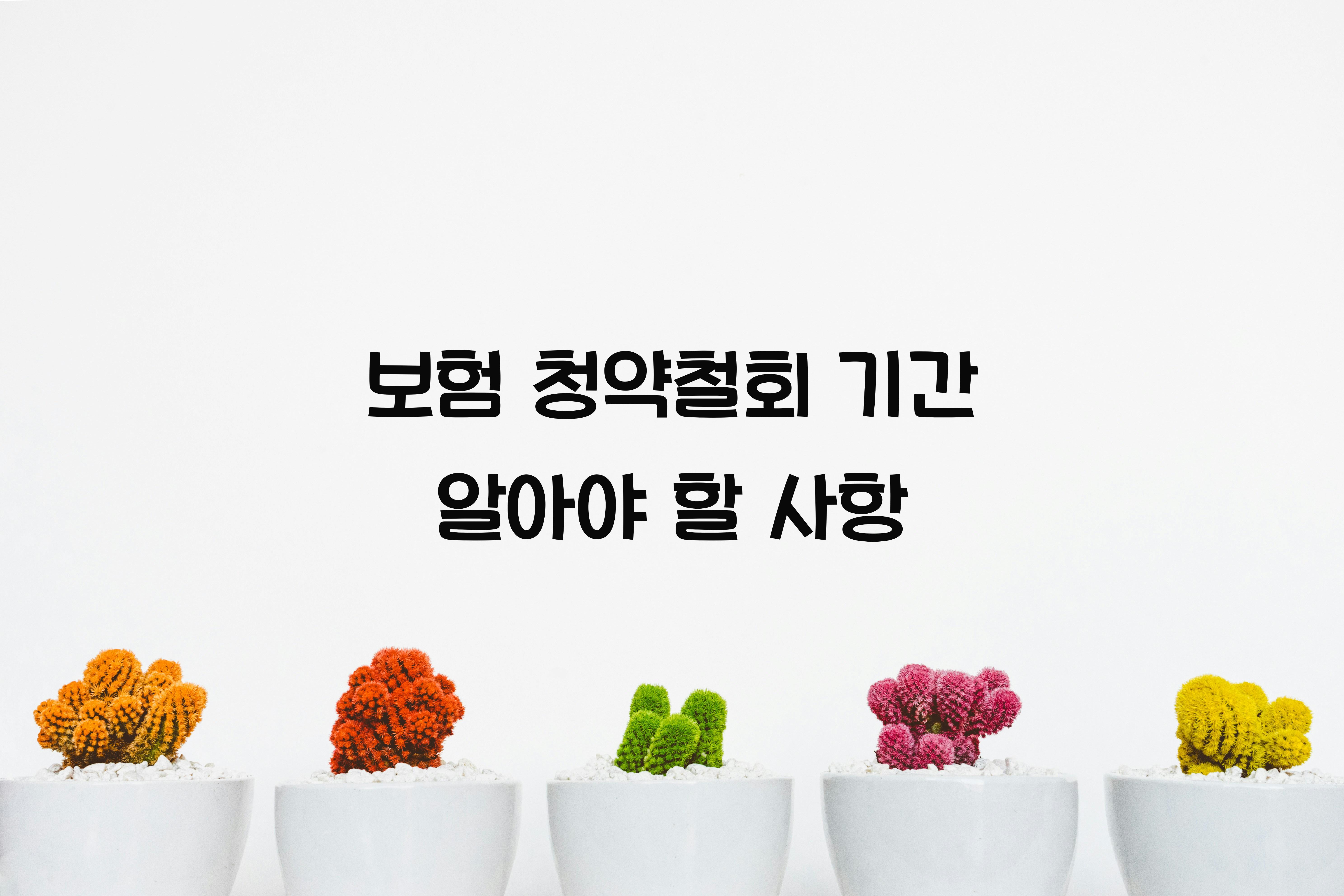보험 청약철회 기간