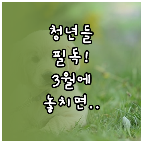 함평군 청년월세 지원, 3월 16~2..